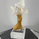 specimen video