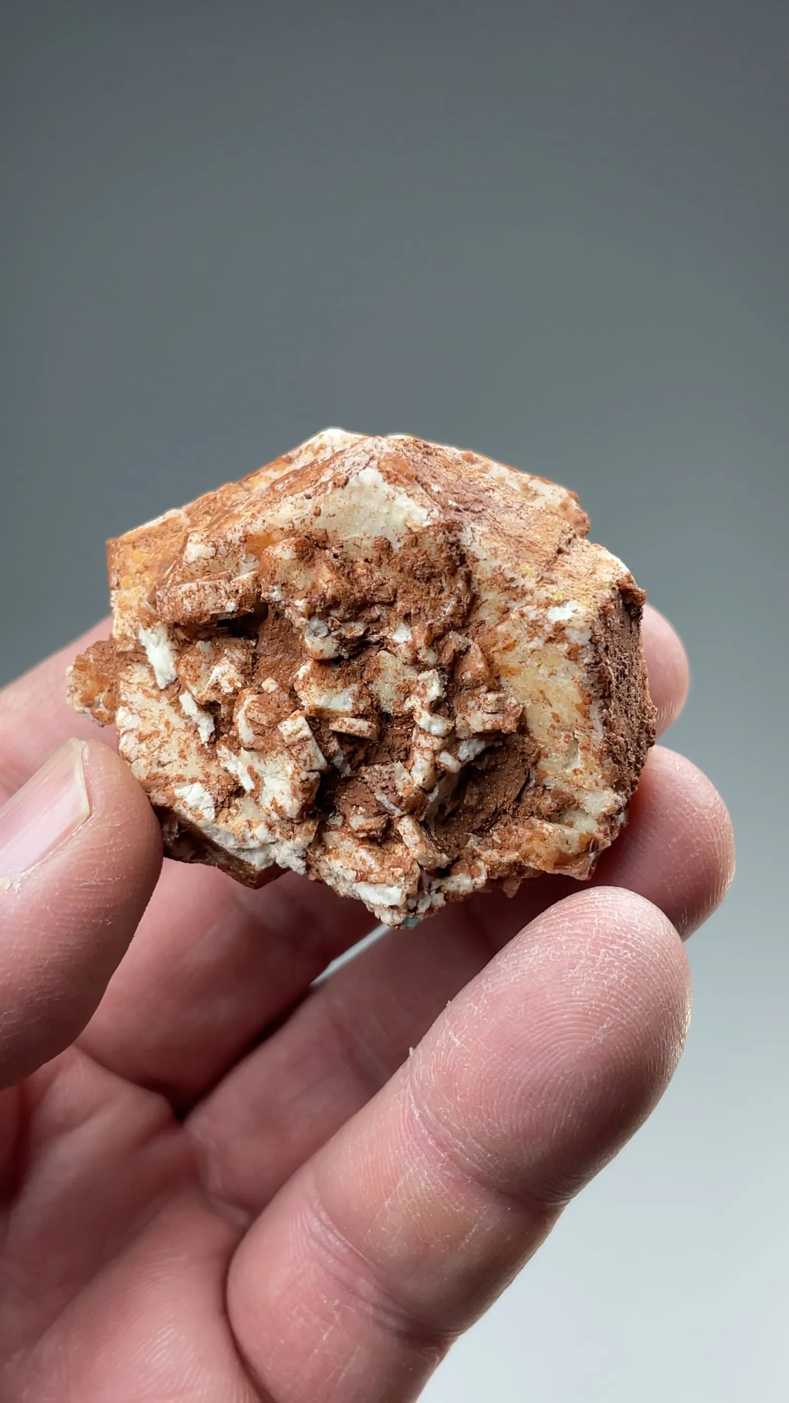 Calcite after Aragonite - image 2