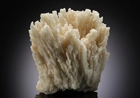 Calcite after Aragonite image