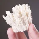 Calcite after Aragonite - image 2