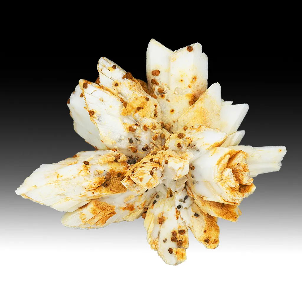 Calcite after Gypsum image