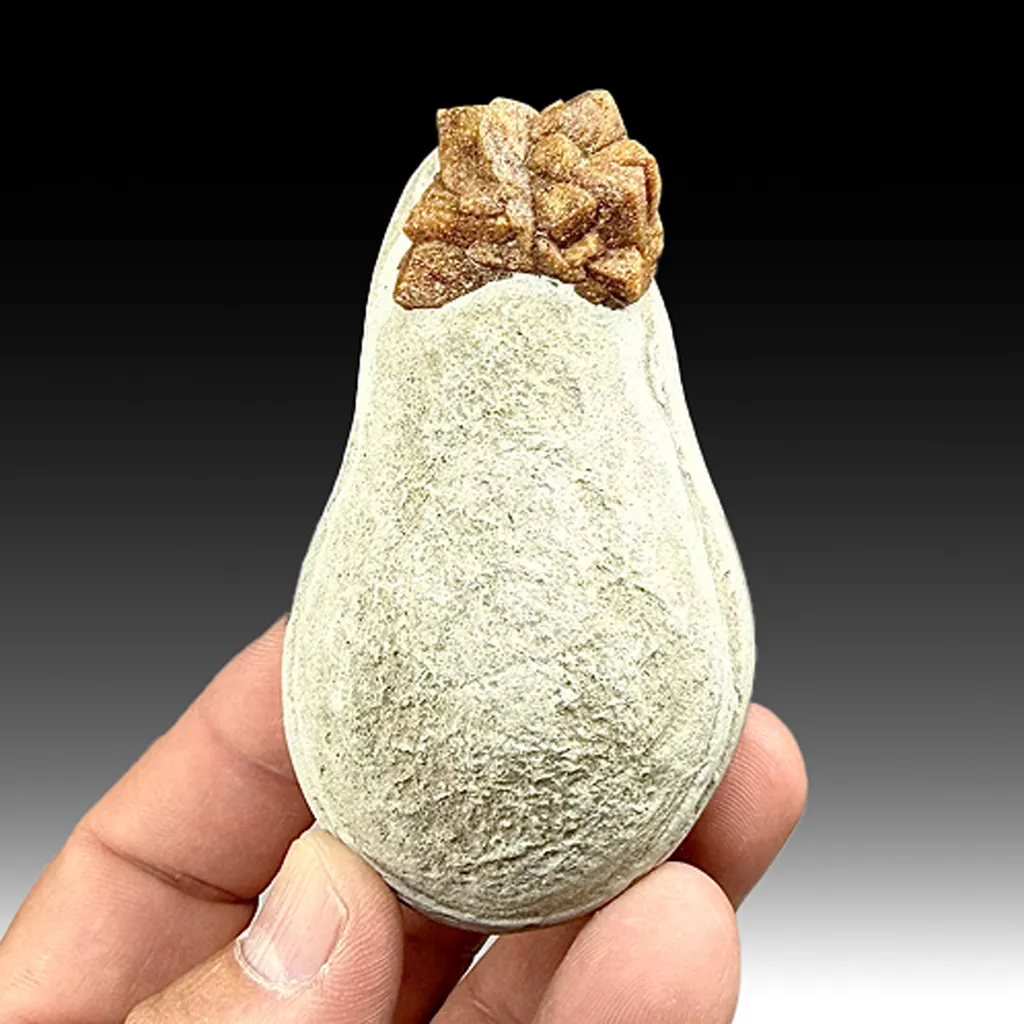 Calcite after Ikaite (1003) image