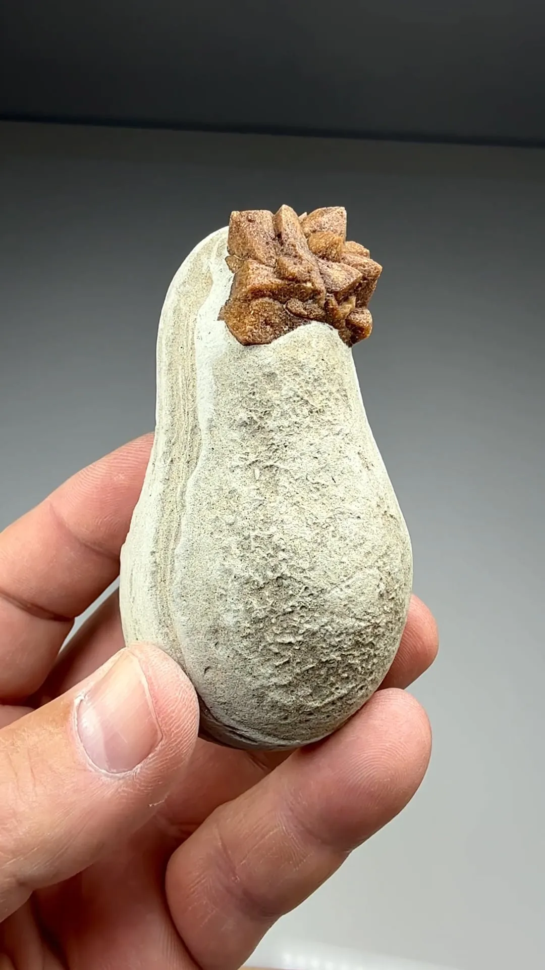 Calcite after Ikaite (1003) - image 2