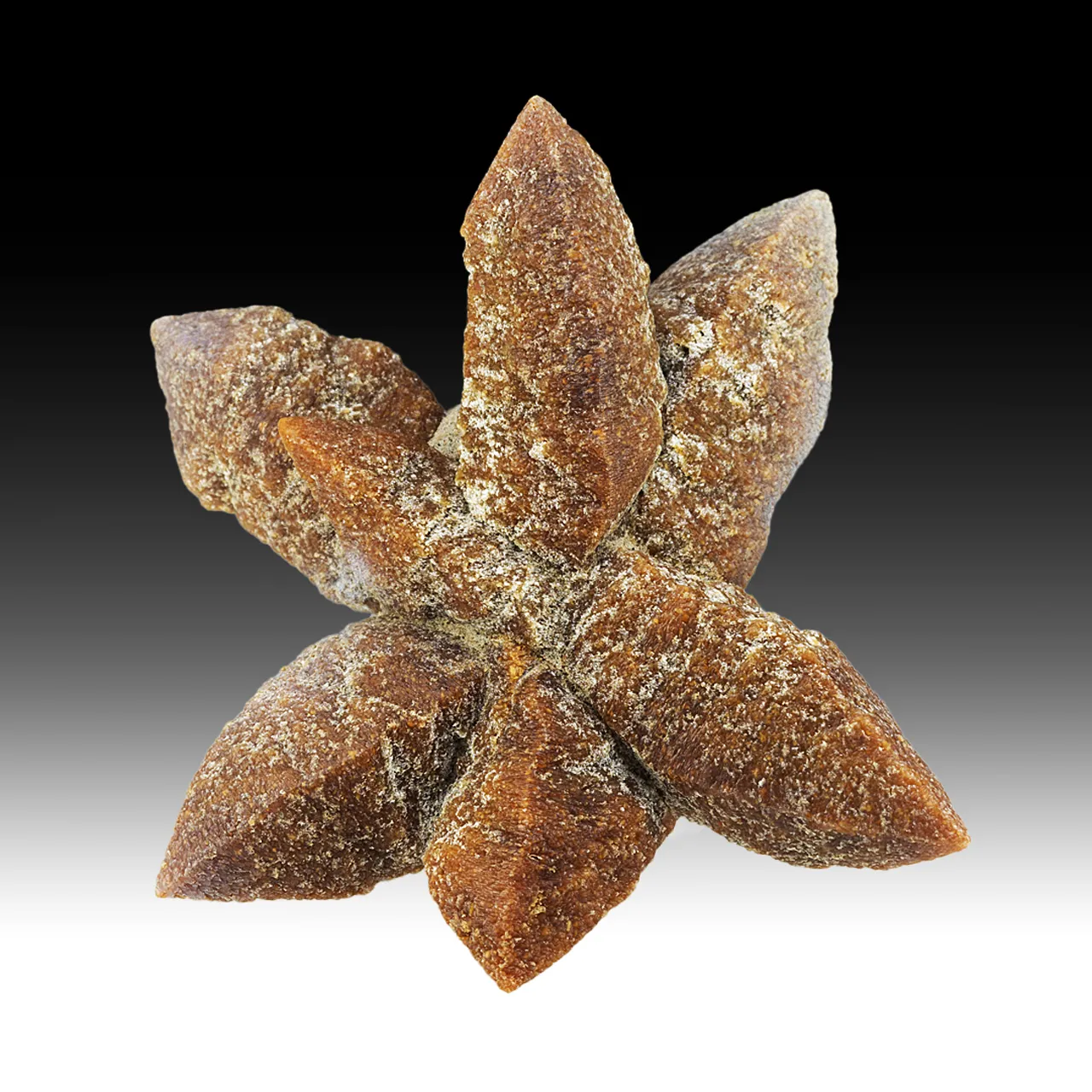 Calcite after Ikaite - image 1