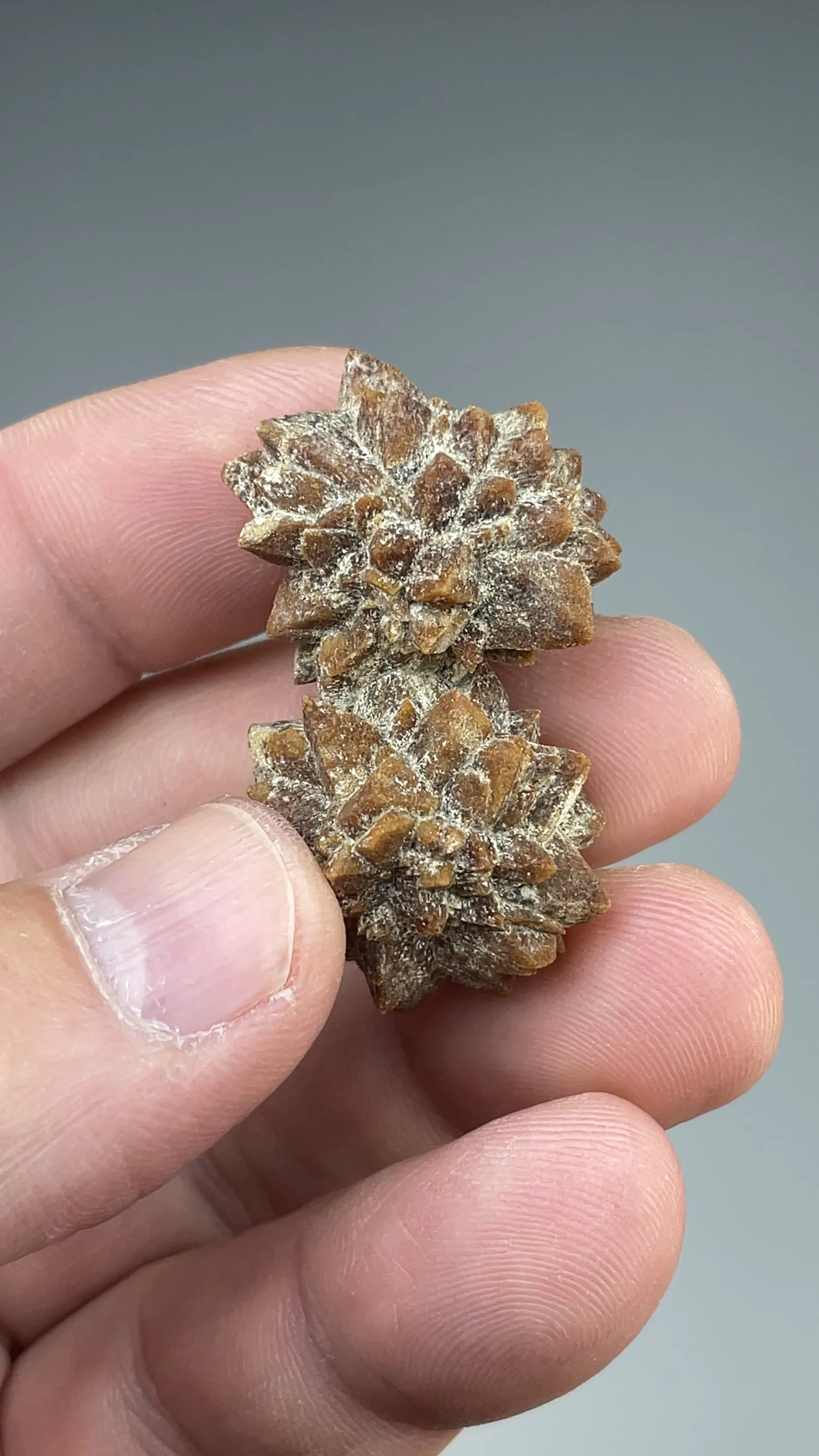 Calcite after Ikaite - image 2