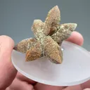 Calcite after Ikaite - image 2