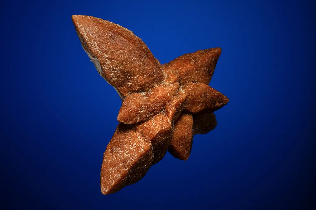 Calcite after IKAITE "Glendonite" - image 4