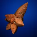 Calcite after IKAITE "Glendonite" - image 2