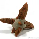 Calcite After Ikaite "Glendonite" - image 1