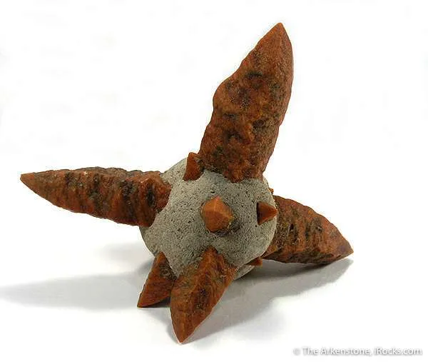 Calcite After Ikaite "Glendonite" - image 1