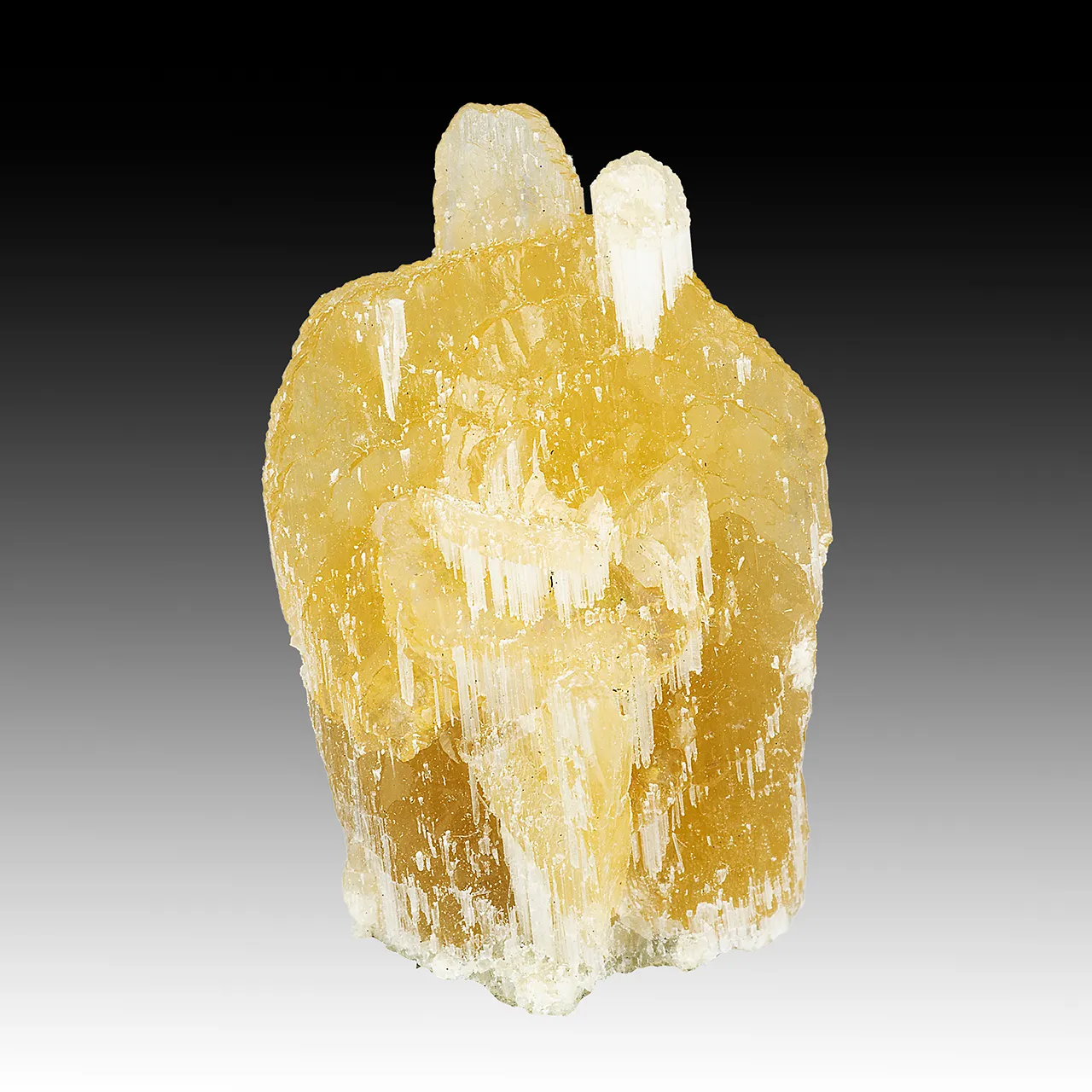 Calcite after Ulexite - image 1