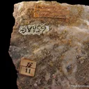Calcite and Chalcopyrite, on Quartz - image 5