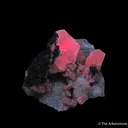 Calcite and Chalcopyrite, on Quartz - image 7