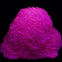 Calcite - image 2
