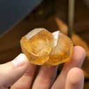 specimen video