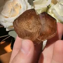 specimen video
