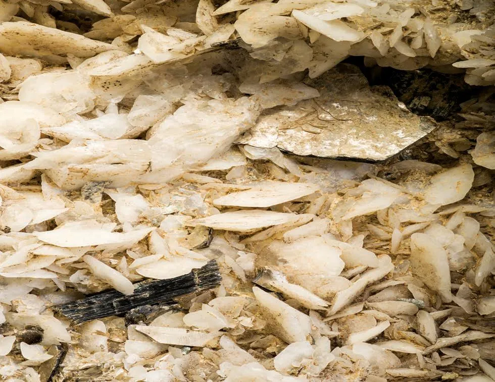 Calcite, Biotite image
