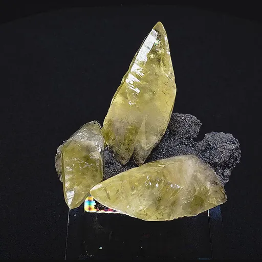 specimen video