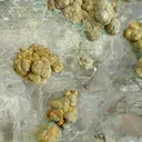 Calcite, Chalcopyrite, Hematite - image 2