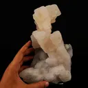 Calcite Coated with Chalcedony Natural Mineral Specimen - image 4