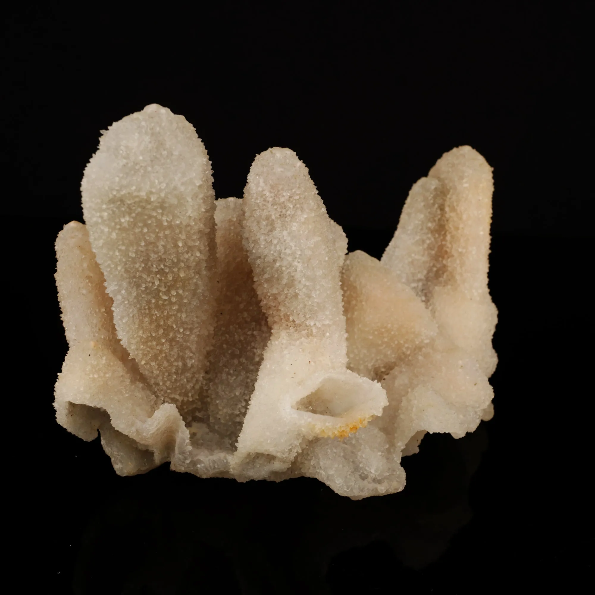 Calcite Coated with Chalcedony Natural Mineral Specimen - image 2