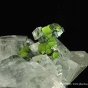 Calcite Coating Mottramite Stalactite - image 4