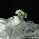 Calcite Coating Mottramite Stalactite - image 3