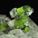 Calcite Coating Mottramite Stalactite - image 1