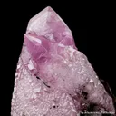 Calcite (Cobalt-bearing) - image 1