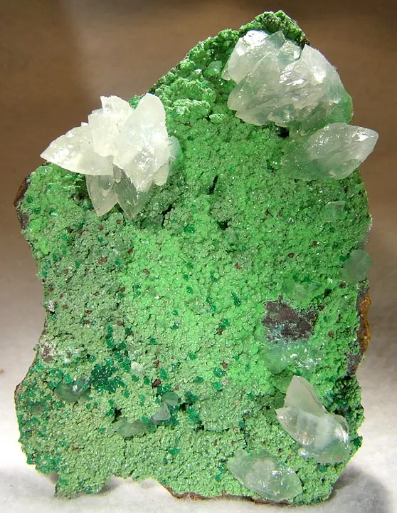 Calcite, Conichalcite, Adamite (Var: Cuprian Adamite) image