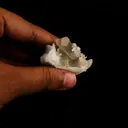 Calcite Cube on Chalcedony Natural Mineral Specimen - image 5