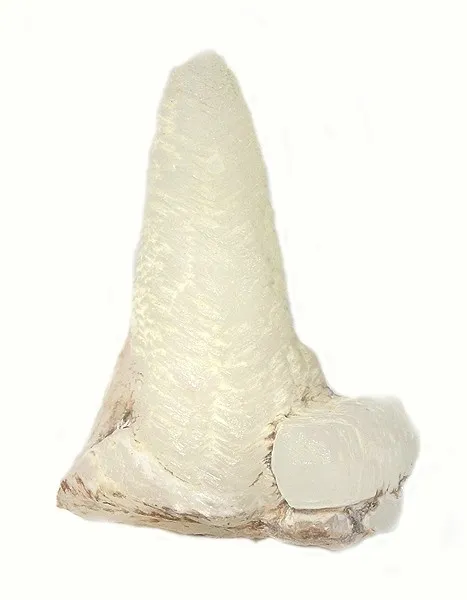 Calcite image