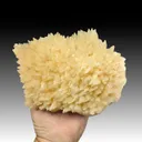 Calcite - image 1