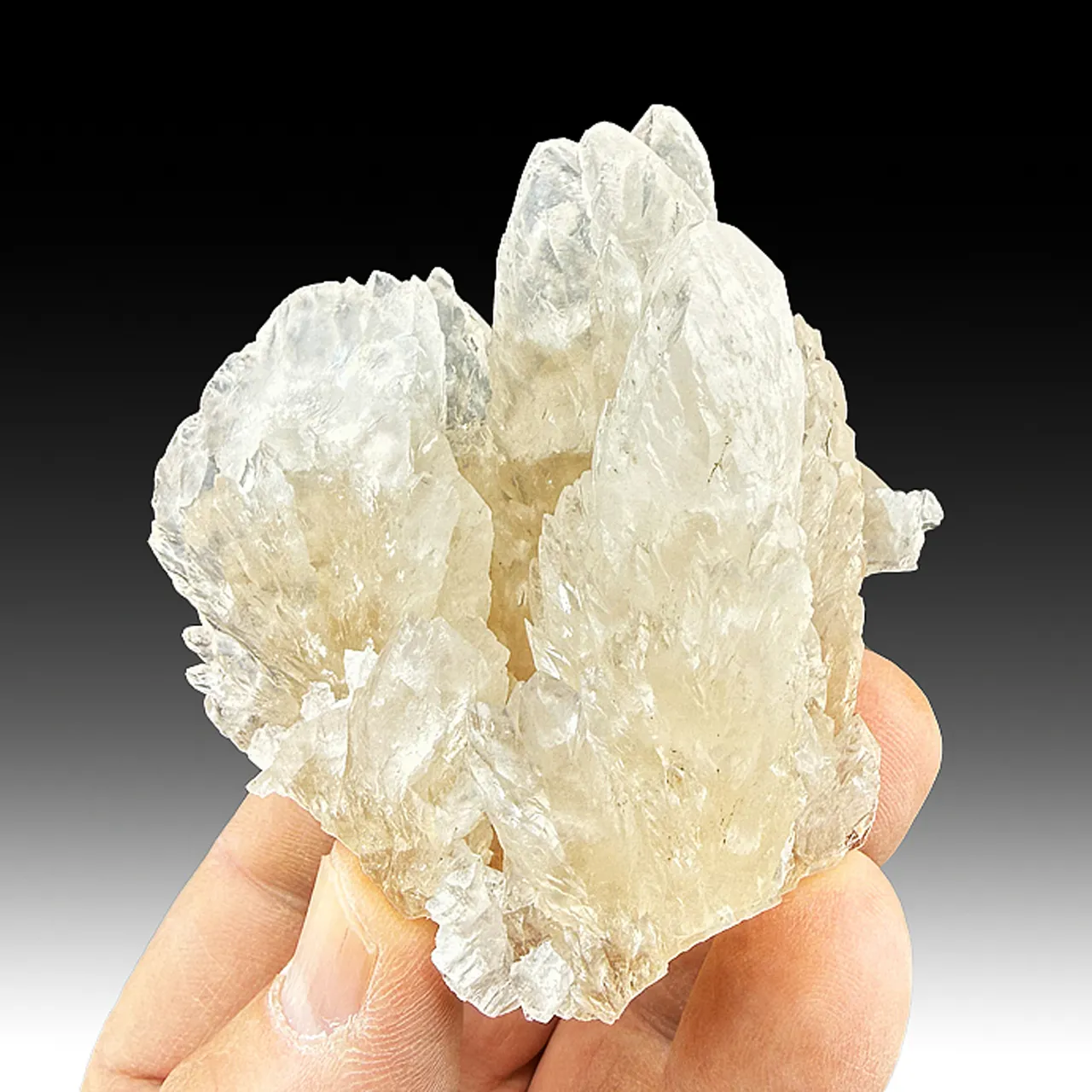 Calcite - image 1