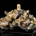Calcite - Dolomite - Chalcopyrite - image 1