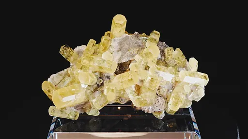 specimen video