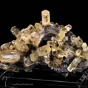 Calcite - Dolomite - Chalcopyrite - image 1