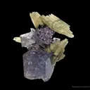 Calcite (Dt, Fluorescent) on Fluorite - image 4