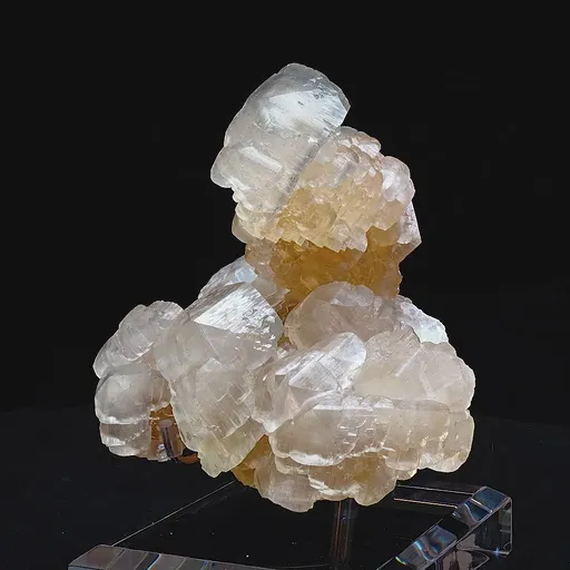 specimen video