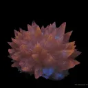 Calcite - image 6