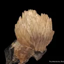 Calcite (fl) on Fluorite - image 2