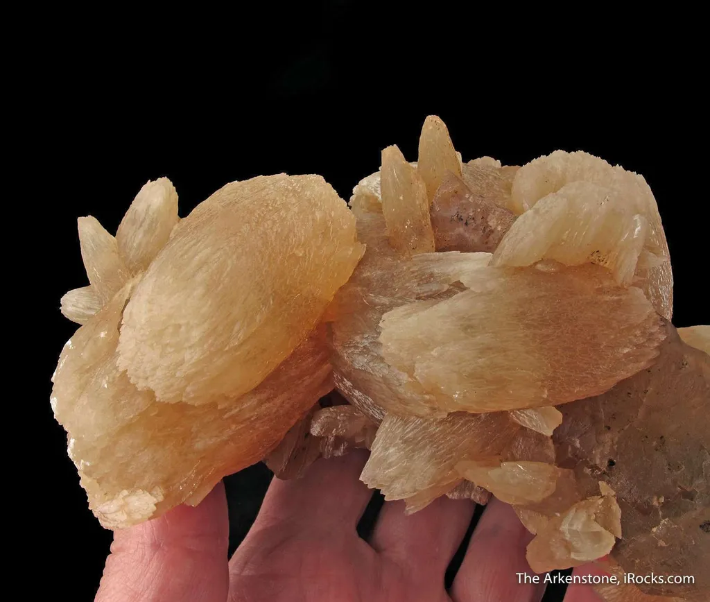 Calcite (fl) on Fluorite - image 3