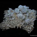 Calcite (fl) on Fluorite - image 5