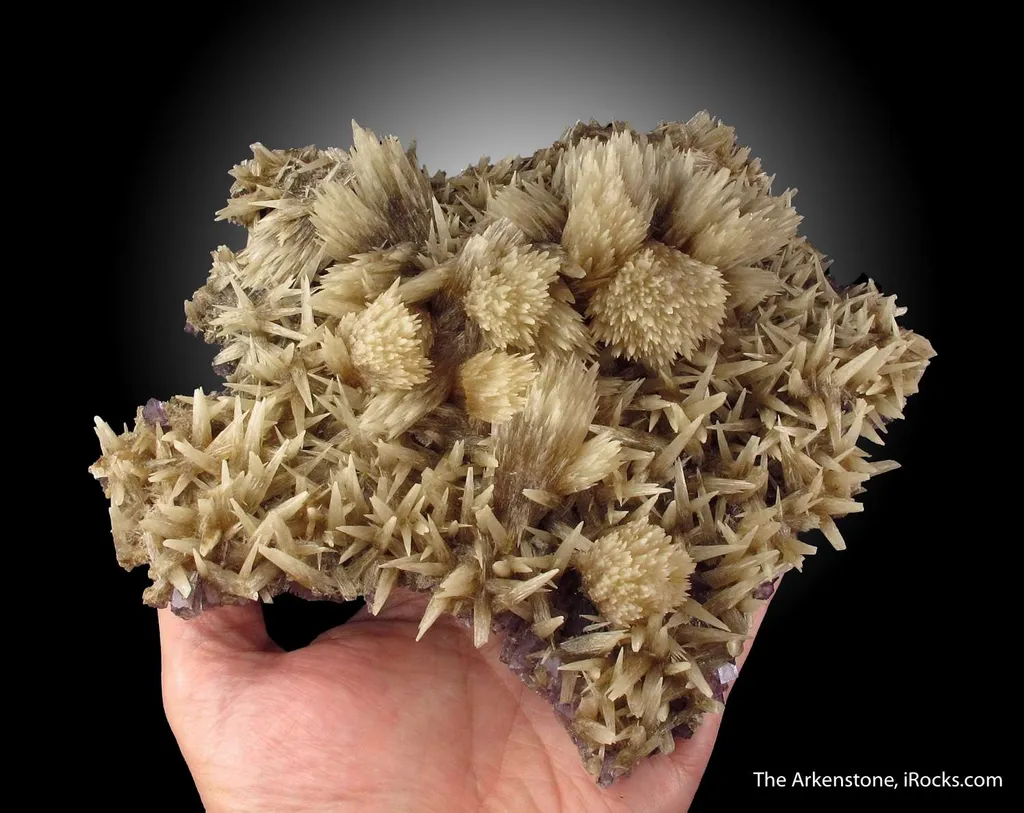 Calcite (fl) on Fluorite image