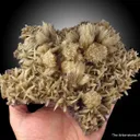 Calcite (fl) on Fluorite - image 1
