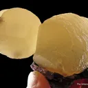 Calcite (fl) with Fluorite and Sphalerite - image 3