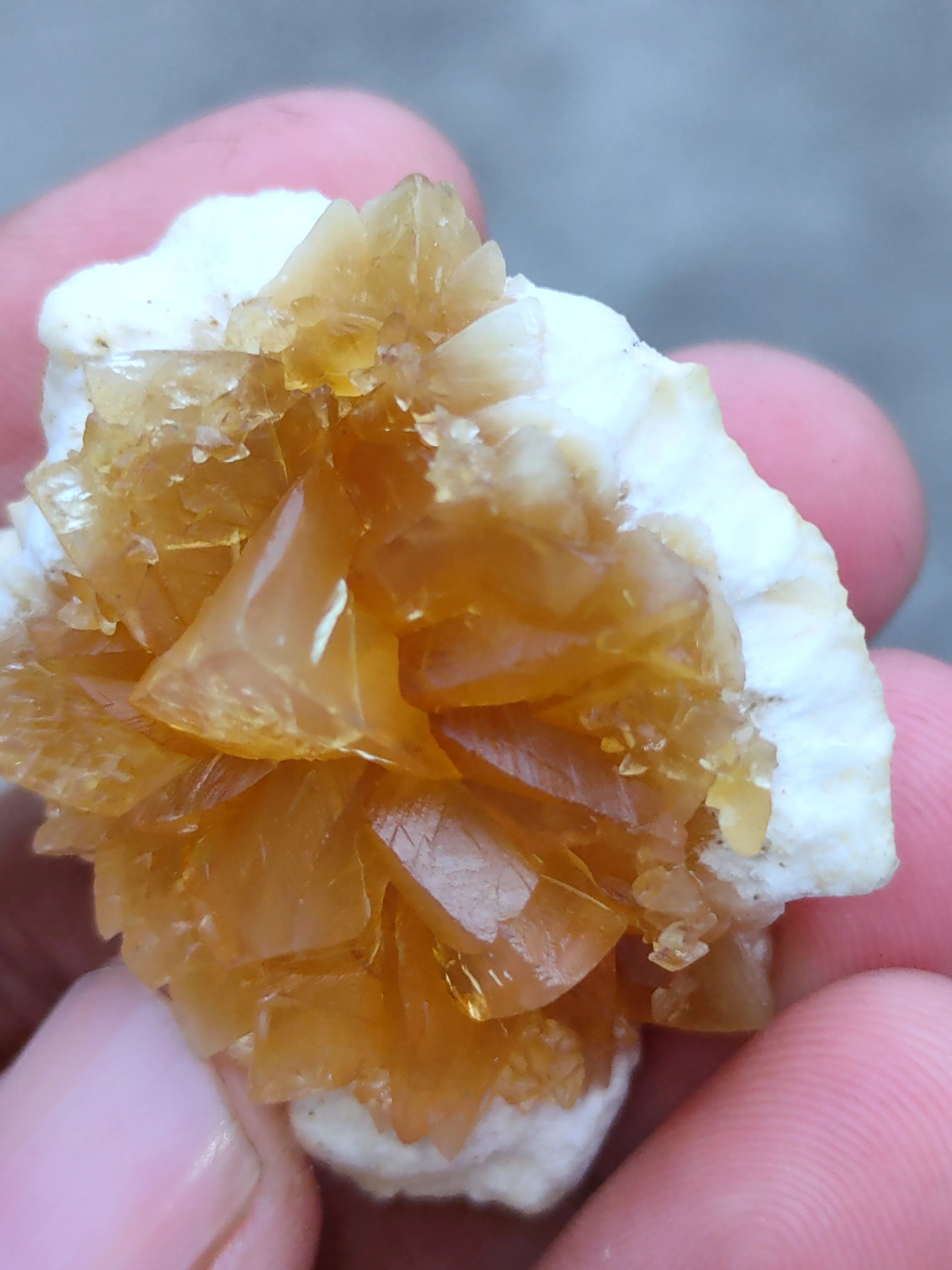 Calcite Flower on Okenite Matrix - image 7