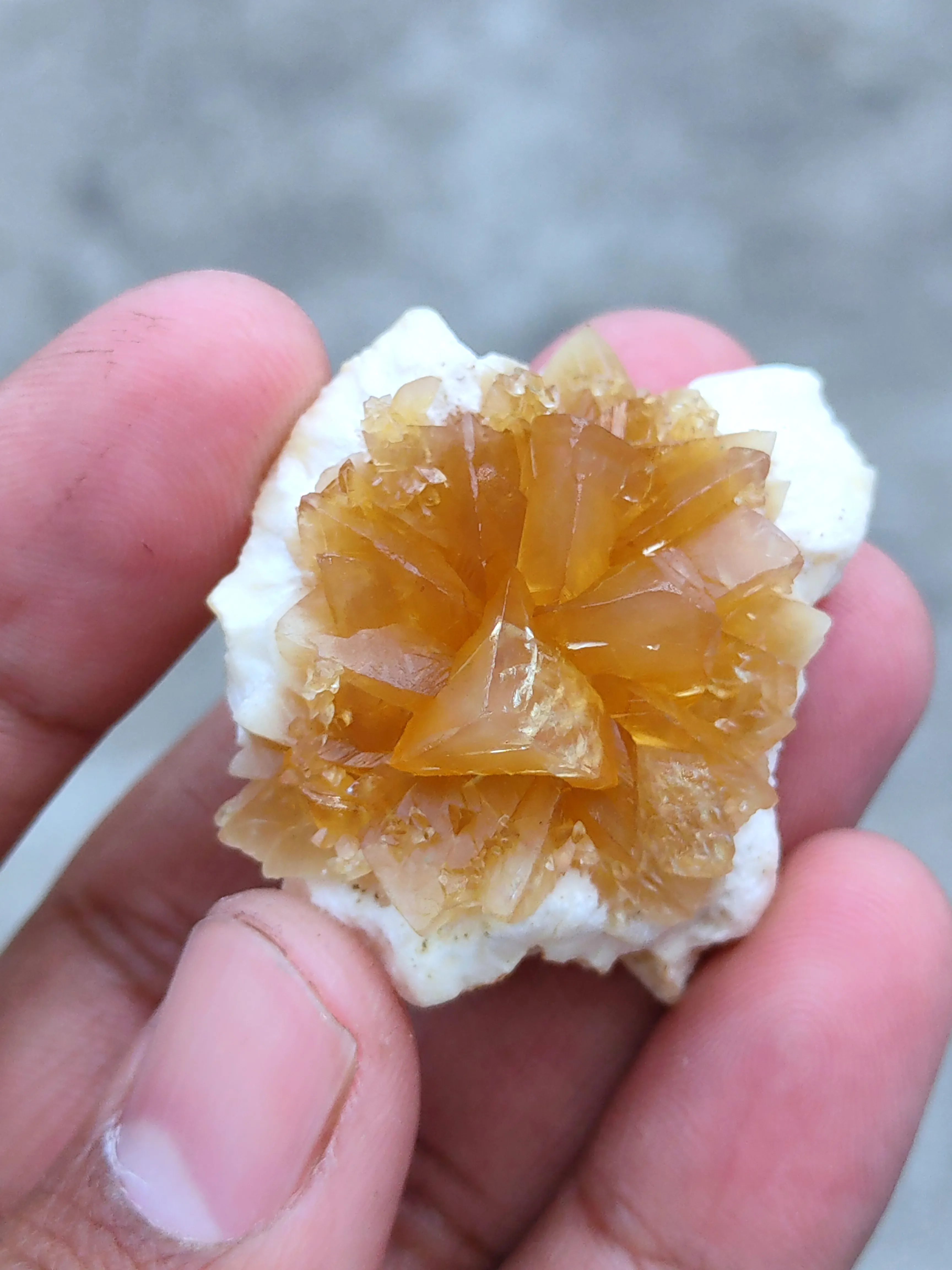 Calcite Flower on Okenite Matrix - image 4