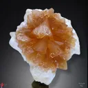 Calcite Flower on Okenite Matrix - image 10
