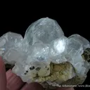 Calcite (Fluorescent) - image 4